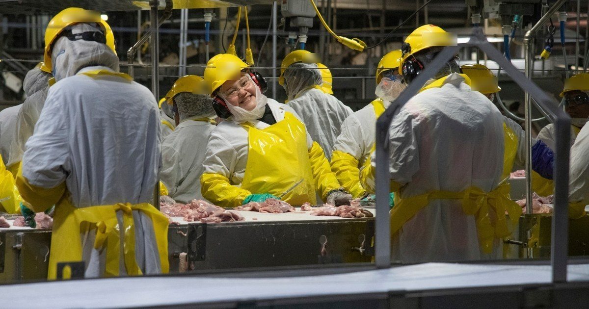 Trabajadores con equipo de protección en una línea de procesamiento de alimentos