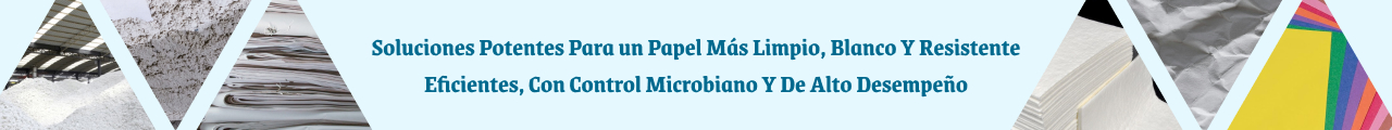 Pulpa & Papel